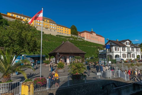 Meersburg on Lake Constance, state winery, tourists, vineyard, landing stage,