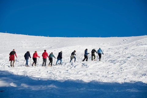 Group of snowshoe hikers, ten people, ascending to the Taubensteinhaus near Taubenstein, winter,