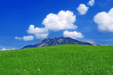 Green meadow, blue sky and white fair weather clouds, summit of the Soiernspitze, Bavaria, Alps,