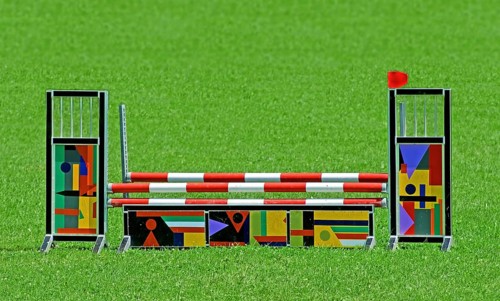 Obstacle, hurdle for horses stands on a green meadow