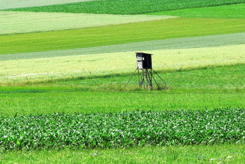 A high seat stands alone in the middle of green meadows, in the Altmühltal, Bavaria, Germany,
