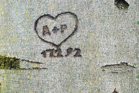 Inscription carved into a beech tree, a heart with the initials A and P and the date 17 02 1992