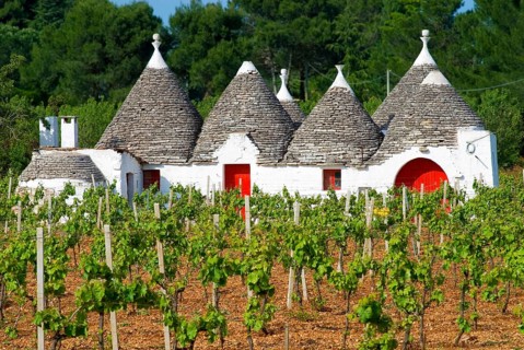 Trullo in a wineyard near Alberobello, Apulia, Italy, Europe