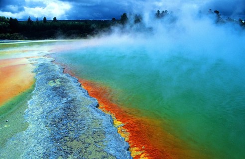 Hot spring with steaming water, red algae in a green hot lake near Rotorua, sulphur deposit, North