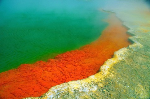 Hot spring with steaming water, red algae in a green hot lake near Rotorua, sulphur deposit, North