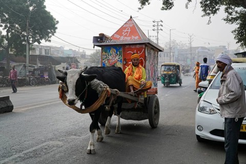 Prophet, Sadhu, on the road, Agra, Uttar Pradesh, India, Asia