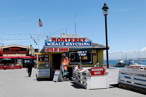 Whale watching, ticket sales, Monterey, Pacific Ocean, California, USA, North America