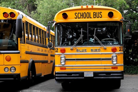 School buses at the Japanese Tea Garden, San Francisco, California, USA, North America