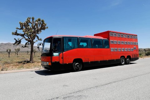Rotel, the hotel on wheels, left Joshua palm lily, Joshua tree, Joshua Tree (Yucca brevifolia),