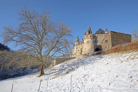 Bürresheim Castle with winter landscape, tree and snow, Mayen, Vulkaneifel, Eifel,