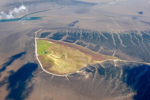 Hallig Südfall, biotope, groyne, tide, low tide, tides, house, Hallig, coastal protection,