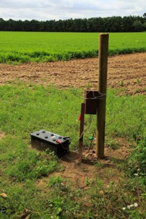 Electric fence protecting carrot crop, Sutton, Suffolk, England, UK