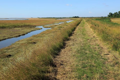 River Ore salt marsh coastal flood defence bank and footpath, looking towards Shingle Street,