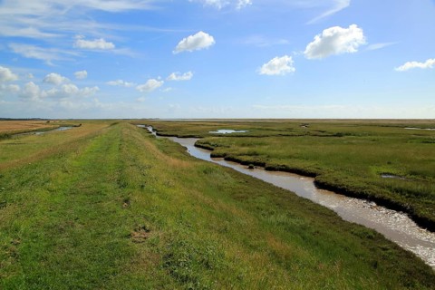 River Ore salt marsh coastal landscape, Hollesley, Suffolk, England, UK