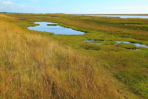 River Ore salt marsh and Orford Ness spit, Simpsons Saltings, Hollesley, Suffolk, England, UK