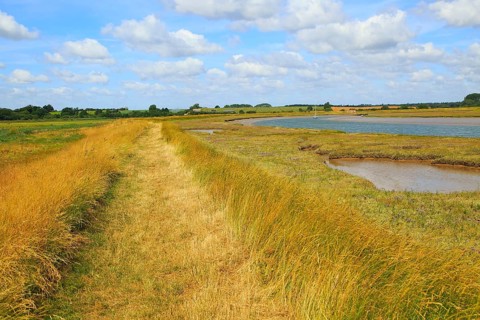 Butley Creek river landscape, Boyton, Suffolk, England, UK footpath on flood defence bank wall