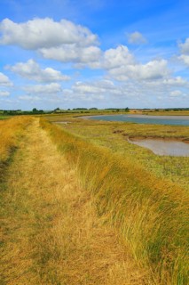 Butley Creek river landscape, Boyton, Suffolk, England, UK footpath on flood defence bank wall