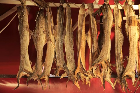 Dried cod hanging in fish market Torget market square area of Vagen harbour, Bergen, Norway, Europe