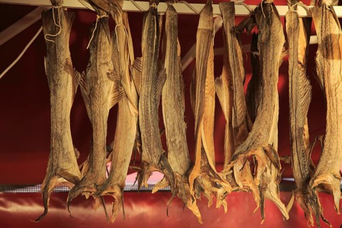 Dried cod hanging in fish market Torget market square area of Vagen harbour, Bergen, Norway, Europe
