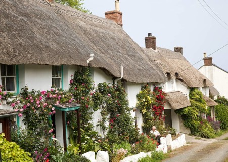Row of pretty thatched whitewashed cottages, Porthoustock, Lizard Peninsula, Cornwall, England, UK