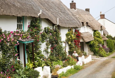 Row of pretty thatched whitewashed cottages, Porthoustock, Lizard Peninsula, Cornwall, England, UK