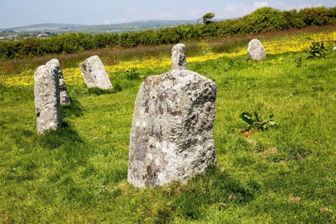 The Merry Maidens prehistoric stone circle, St Buryan, Cornwall, England, UK