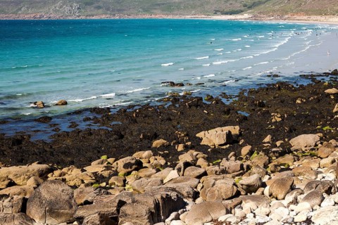 Coastal scenery rocky foreshore, Sennan Cove, Land's End, Cornwall, England, UK