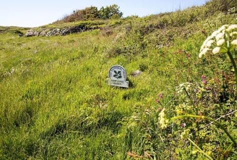 National Trust sign, Lowland Point, Lizard Peninsula, Cornwall, England, UK