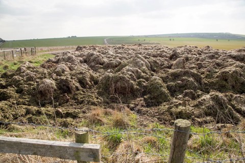 Organic manure piled in field to be spread as fertiliser on chalk downland fields, near Devizes,