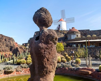 Cactus plants and windmill Jardin de Cactus designed by César Manrique, Guatiza, Lanzarote, Canary