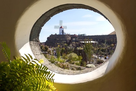 Cactus plants inside Jardin de Cactus designed by César Manrique, Guatiza, Lanzarote, Canary