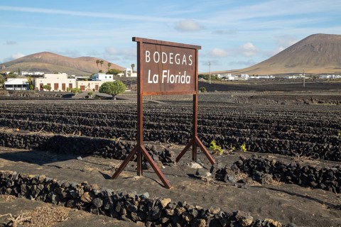 Bodegas La Florida, La Geria vineyard tourist attraction for sampling and buying wine, San