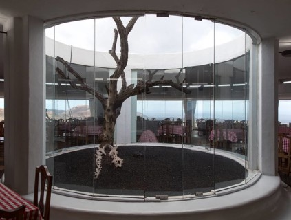Fig tree growing in centre of restaurant designed by Cesar Manrique, Timanfaya national park,