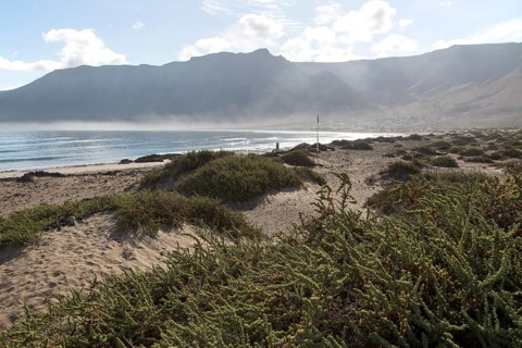Atlantic Ocean coast beach and waves, Caleta de Famara, Lanzarote, Canary islands, Spain, Europe