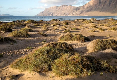 Late afternoon light on beach and cliffs La Caleta de Famara, Lanzarote, Canary islands, Spain,