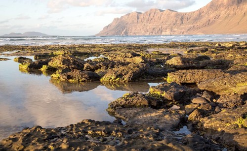 Late afternoon light on beach and cliffs La Caleta de Famara, Lanzarote, Canary islands, Spain,