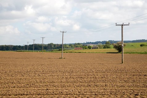 Telegraph poles carrying electricity lines Butley, Suffolk, England, UK
