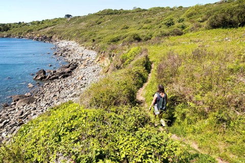 Woman walking south west coastal path, Lowland Point, the Lizard Peninsula, Cornwall, England, UK