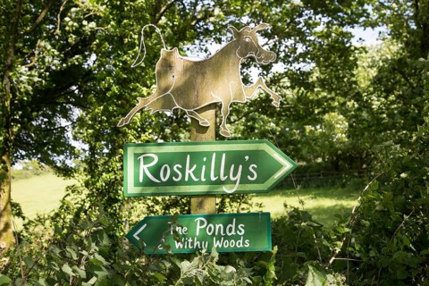 Signs at Roskilly's farm, near St Keverne, Lizard Peninsula, Cornwall, England, UK