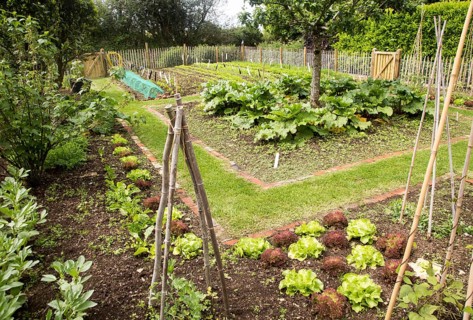 Vegetable plot at Potager Garden, Constantine, Cornwall, England, UK