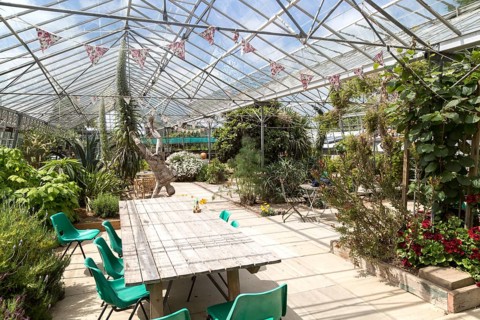 Inside large glasshouse, Potager Garden, Constantine, Cornwall, England, UK