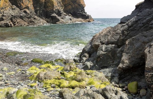 Rocky cove at Cadgwith, Lizard peninsula, Cornwall, England, UK
