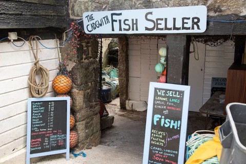 The Fish Seller shop sign, Cadgwith, Lizard peninsula, Cornwall, England, UK