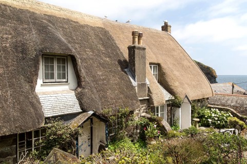 Pretty historic thatched cottages, Cadgwith, Lizard peninsula, Cornwall, England, UK