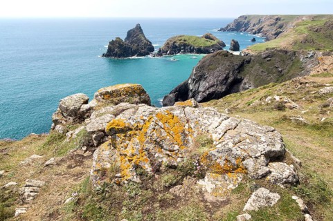 Coastal scenery, Kynance Cove, Lizard peninsula, Cornwall, England, UK, Gull Rock and The Bishop