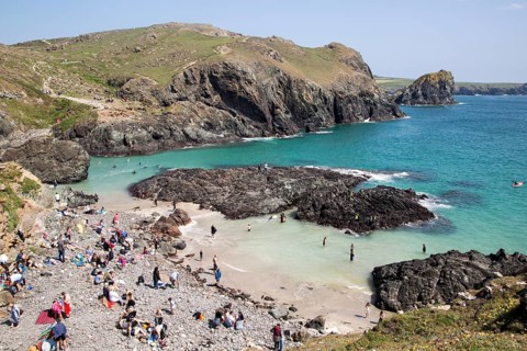 Coastal scenery, Kynance Cove, Lizard peninsula, Cornwall, England, UK