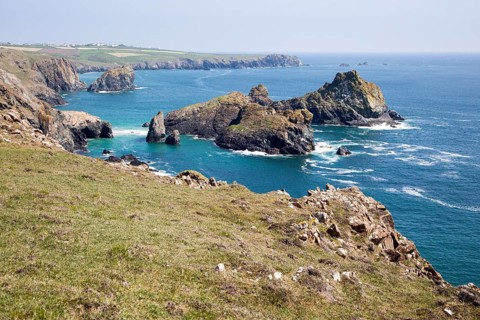 Coastal scenery, near Kynance Cove, Lizard peninsula, Cornwall, England, UK, Gull Rock and The