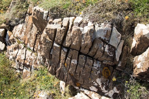 Joints in rock enlarged by weathering processes, Lizard peninsula, Cornwall, England, UK