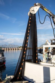 Fishing boats in the harbour at Svolvaer, Lofoten Islands, Nordland, Norway, Europe