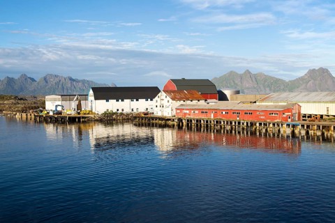 Fish processing buildings at Svolvaer, Lofoten Islands, Nordland, Norway, Europe
